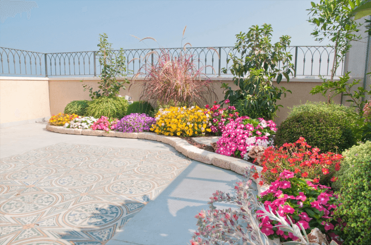 תכנון והקמת גינה 8